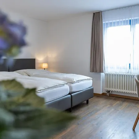 Hotel Restaurant Alte Brauerei 3*