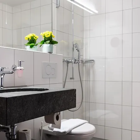 Hotel Restaurant Alte Brauerei 3*